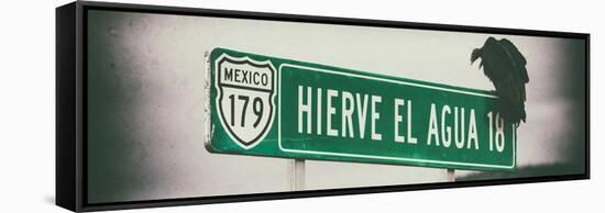 ¡Viva Mexico! Panoramic Collection - Vulture III-Philippe Hugonnard-Framed Stretched Canvas
