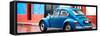 ¡Viva Mexico! Panoramic Collection - VW Beetle and Blue Wall-Philippe Hugonnard-Framed Stretched Canvas