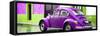 ¡Viva Mexico! Panoramic Collection - VW Beetle and Purple Wall-Philippe Hugonnard-Framed Stretched Canvas