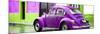 ¡Viva Mexico! Panoramic Collection - VW Beetle and Purple Wall-Philippe Hugonnard-Mounted Photographic Print