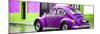 ¡Viva Mexico! Panoramic Collection - VW Beetle and Purple Wall-Philippe Hugonnard-Mounted Photographic Print