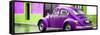 ¡Viva Mexico! Panoramic Collection - VW Beetle and Purple Wall-Philippe Hugonnard-Framed Stretched Canvas