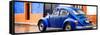 ¡Viva Mexico! Panoramic Collection - VW Beetle and Royal Blue Wall-Philippe Hugonnard-Framed Stretched Canvas