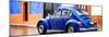 ¡Viva Mexico! Panoramic Collection - VW Beetle and Royal Blue Wall-Philippe Hugonnard-Mounted Photographic Print