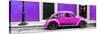 ¡Viva Mexico! Panoramic Collection - VW Beetle Car - Purple & Deep Pink-Philippe Hugonnard-Stretched Canvas