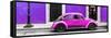¡Viva Mexico! Panoramic Collection - VW Beetle Car - Purple & Deep Pink-Philippe Hugonnard-Framed Stretched Canvas