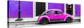 ¡Viva Mexico! Panoramic Collection - VW Beetle Car - Purple & Deep Pink-Philippe Hugonnard-Stretched Canvas