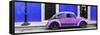 ¡Viva Mexico! Panoramic Collection - VW Beetle Car - Royal Blue & Purple-Philippe Hugonnard-Framed Stretched Canvas