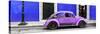 ¡Viva Mexico! Panoramic Collection - VW Beetle Car - Royal Blue & Purple-Philippe Hugonnard-Stretched Canvas