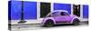 ¡Viva Mexico! Panoramic Collection - VW Beetle Car - Royal Blue & Purple-Philippe Hugonnard-Stretched Canvas