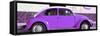 ¡Viva Mexico! Panoramic Collection - VW Beetle Purple-Philippe Hugonnard-Framed Stretched Canvas