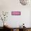¡Viva Mexico! Panoramic Collection - Wall of Pink Mosaics-Philippe Hugonnard-Framed Stretched Canvas displayed on a wall