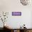 ¡Viva Mexico! Panoramic Collection - Wall of Purple Mosaics-Philippe Hugonnard-Framed Stretched Canvas displayed on a wall