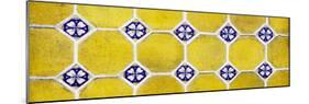 ¡Viva Mexico! Panoramic Collection - Wall of Yellow Mosaics-Philippe Hugonnard-Mounted Photographic Print
