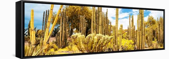 ¡Viva Mexico! Panoramic Collection - Yellow Cardon Cactus II-Philippe Hugonnard-Framed Stretched Canvas