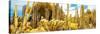 ¡Viva Mexico! Panoramic Collection - Yellow Cardon Cactus II-Philippe Hugonnard-Stretched Canvas