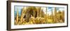 ¡Viva Mexico! Panoramic Collection - Yellow Cardon Cactus II-Philippe Hugonnard-Framed Photographic Print