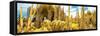 ¡Viva Mexico! Panoramic Collection - Yellow Cardon Cactus II-Philippe Hugonnard-Framed Stretched Canvas
