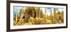 ¡Viva Mexico! Panoramic Collection - Yellow Cardon Cactus II-Philippe Hugonnard-Framed Photographic Print