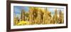 ¡Viva Mexico! Panoramic Collection - Yellow Cardon Cactus-Philippe Hugonnard-Framed Photographic Print