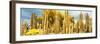 ¡Viva Mexico! Panoramic Collection - Yellow Cardon Cactus-Philippe Hugonnard-Framed Photographic Print