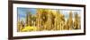 ¡Viva Mexico! Panoramic Collection - Yellow Cardon Cactus-Philippe Hugonnard-Framed Photographic Print