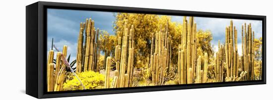 ¡Viva Mexico! Panoramic Collection - Yellow Cardon Cactus-Philippe Hugonnard-Framed Stretched Canvas
