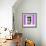 ¡Viva Mexico! Square Collection - "130 Street" Plum Wall-Philippe Hugonnard-Framed Photographic Print displayed on a wall