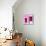 ¡Viva Mexico! Square Collection - "172 Street" Deep Pink & Mauve-Philippe Hugonnard-Stretched Canvas displayed on a wall