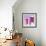 ¡Viva Mexico! Square Collection - "172 Street" Pink & Mauve-Philippe Hugonnard-Framed Photographic Print displayed on a wall