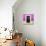 ¡Viva Mexico! Square Collection - 19rd Purple Wall-Philippe Hugonnard-Photographic Print displayed on a wall