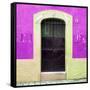 ¡Viva Mexico! Square Collection - 19rd Purple Wall-Philippe Hugonnard-Framed Stretched Canvas