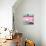 ¡Viva Mexico! Square Collection - "5 de febrero" Pink Wall-Philippe Hugonnard-Stretched Canvas displayed on a wall