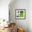 ¡Viva Mexico! Square Collection - "ALASKA" Green Bar-Philippe Hugonnard-Framed Photographic Print displayed on a wall