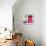 ¡Viva Mexico! Square Collection - "ALASKA" Pink Bar-Philippe Hugonnard-Photographic Print displayed on a wall