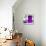 ¡Viva Mexico! Square Collection - "ALASKA" Purple Bar-Philippe Hugonnard-Stretched Canvas displayed on a wall