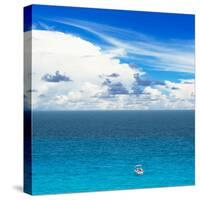 ¡Viva Mexico! Square Collection - Alone in the World-Philippe Hugonnard-Stretched Canvas