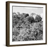 ¡Viva Mexico! Square Collection - Ancient Maya City within the Jungle - Calakmul II-Philippe Hugonnard-Framed Photographic Print