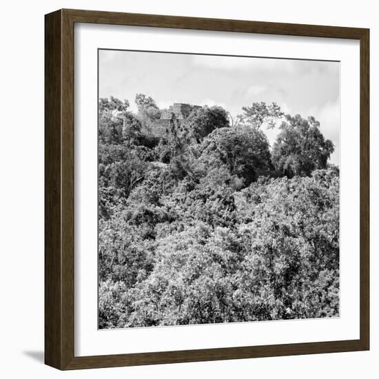 ¡Viva Mexico! Square Collection - Ancient Maya City within the Jungle - Calakmul II-Philippe Hugonnard-Framed Photographic Print