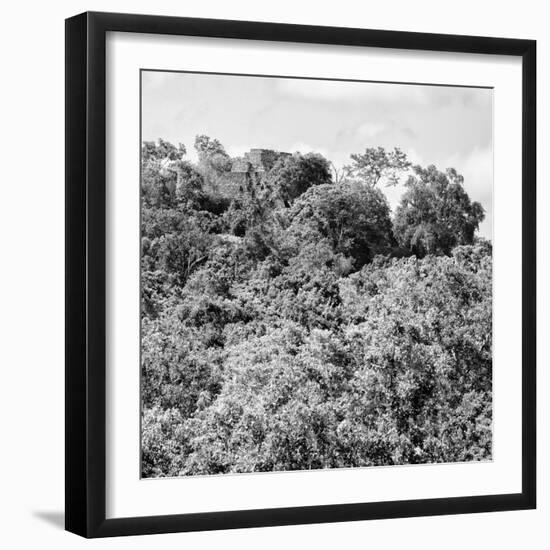 ¡Viva Mexico! Square Collection - Ancient Maya City within the Jungle - Calakmul II-Philippe Hugonnard-Framed Photographic Print