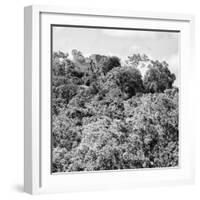 ¡Viva Mexico! Square Collection - Ancient Maya City within the Jungle - Calakmul II-Philippe Hugonnard-Framed Photographic Print