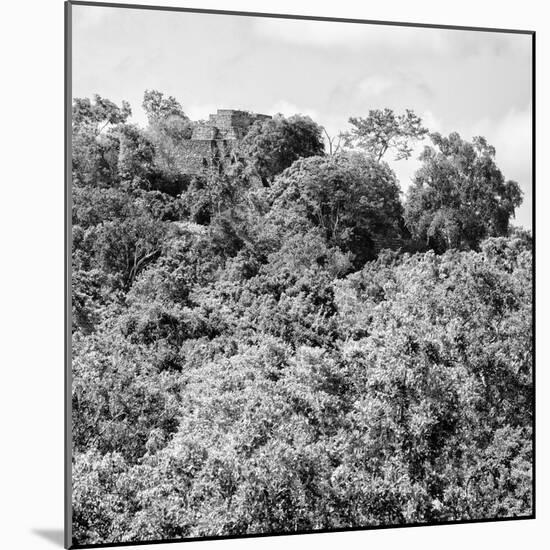 ¡Viva Mexico! Square Collection - Ancient Maya City within the Jungle - Calakmul II-Philippe Hugonnard-Mounted Photographic Print