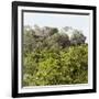 ¡Viva Mexico! Square Collection - Ancient Maya City within the Jungle - Calakmul III-Philippe Hugonnard-Framed Photographic Print