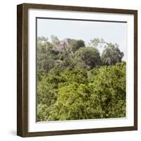 ¡Viva Mexico! Square Collection - Ancient Maya City within the Jungle - Calakmul III-Philippe Hugonnard-Framed Photographic Print