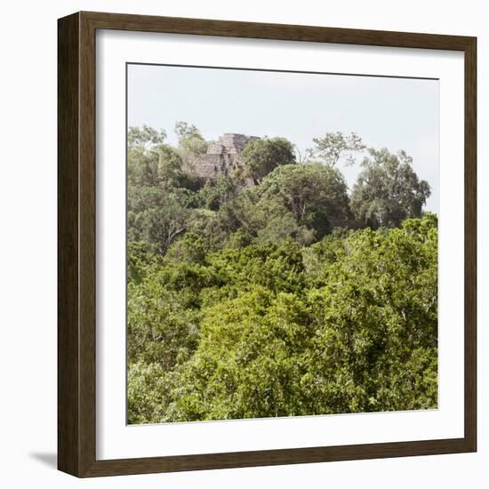 ¡Viva Mexico! Square Collection - Ancient Maya City within the Jungle - Calakmul III-Philippe Hugonnard-Framed Photographic Print