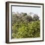 ¡Viva Mexico! Square Collection - Ancient Maya City within the Jungle - Calakmul III-Philippe Hugonnard-Framed Photographic Print