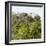 ¡Viva Mexico! Square Collection - Ancient Maya City within the Jungle - Calakmul III-Philippe Hugonnard-Framed Photographic Print