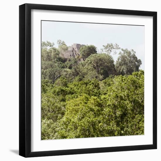 ¡Viva Mexico! Square Collection - Ancient Maya City within the Jungle - Calakmul III-Philippe Hugonnard-Framed Photographic Print