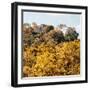 ¡Viva Mexico! Square Collection - Ancient Maya City within the Jungle - Calakmul IV-Philippe Hugonnard-Framed Photographic Print