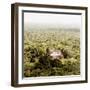 ¡Viva Mexico! Square Collection - Ancient Maya City within the Jungle - Calakmul V-Philippe Hugonnard-Framed Photographic Print